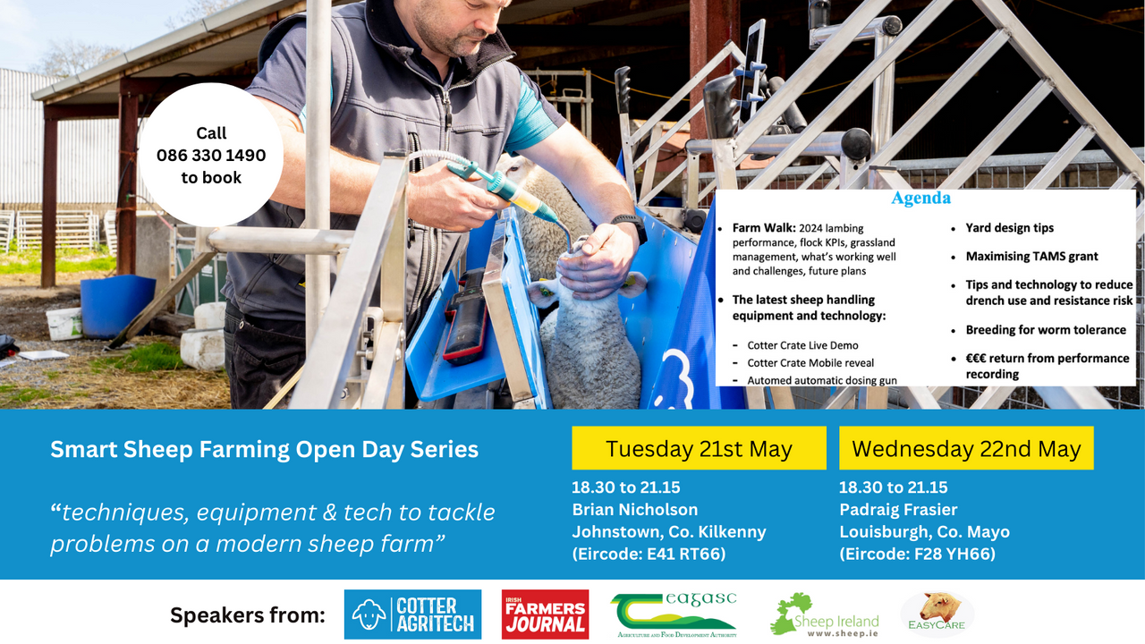 Smart Sheep Farming Open Day Series Announced – Cotter Agritech