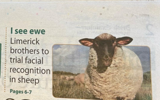 Cotter Agritech Announce Trial of Facial Recognition in Sheep