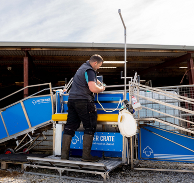Cotter Crate Sheep + Lamb Handler Launched