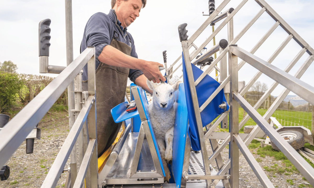 Cotter Crate Sheep Handler | Portable Sheep Handling Race – Cotter Agritech